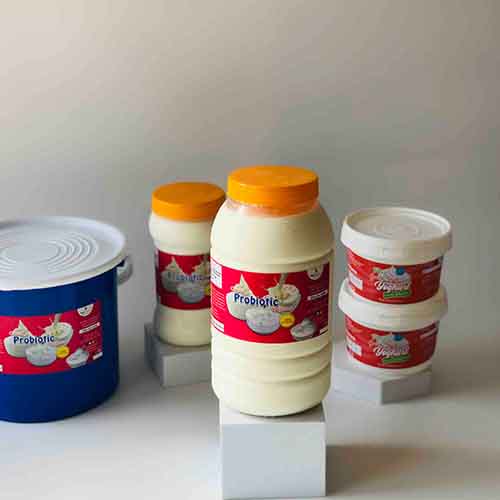 fafasbreakfast_0009_-NbTU-ohA7xZYSgCaO0K LACTOSE FREE (full cream) PLAIN PROBIOTIC GREEK YOGHURT(unsweetened) - 2LT - Image 1